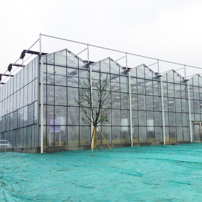 Γεωργικό πολυ θερμοκήπιο γυαλιού ινών έκτασης υδροπονικό για την ανάπτυξη λαχανικών