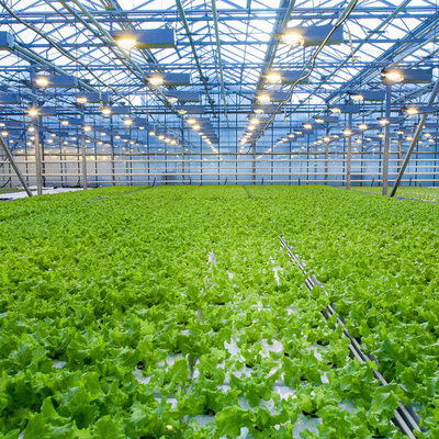 Γεωργικό πολυ θερμοκήπιο γυαλιού ινών έκτασης υδροπονικό για την ανάπτυξη λαχανικών
