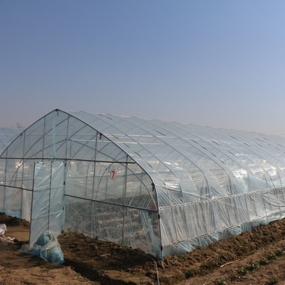 Αυτοματοποιημένο ενιαίο παθητικό ηλιακό θερμοκήπιο σηράγγων στρώματος υψηλό για τη φράουλα