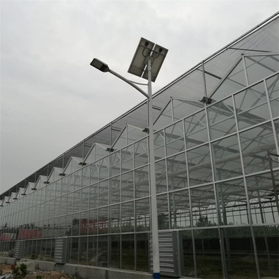 Πολυ θερμοκήπιο γυαλιού Venlo έκτασης με το φυτώριο υδροπονικό για τη φράουλα ντοματών