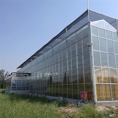 Πολυ θερμοκήπιο γυαλιού Venlo έκτασης με το φυτώριο υδροπονικό για τη φράουλα ντοματών