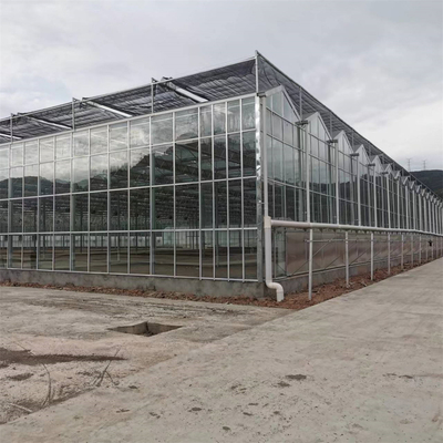 Πολυ-έκτασης γεωργικό θερμοκήπιο γυαλιού θερμοκηπίων μετριασμένο Venlo με το υδροπονικό αυξανόμενο σύστημα