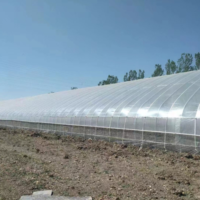 Πλαστικό φιλμ Ηλιακό παθητικό θερμοκήπιο με υποστήριξη συλλογής βροχερού νερού