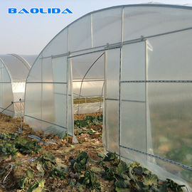 Υψηλά λαχανικά σηράγγων που φυτεύουν το ενιαίο θερμοκήπιο πλαστικών ταινιών σηράγγων έκτασης φυτικό