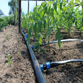 Σύστημα άρδευσης αγροτικών θερμοκηπίων/σύστημα ποτίσματος Polytunnel ψεκαστήρων