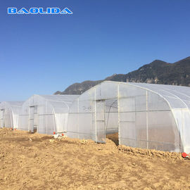 Απλούστερος γαλβανισμένος χάλυβας 4m καυτής εμβύθισης δομών πλαστικό θερμοκήπιο σηράγγων για την ανάπτυξη εγκαταστάσεων