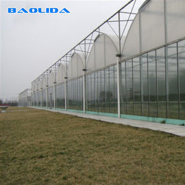 Διαφανής καλλιέργεια εγκαταστάσεων θερμοκηπίων Multispan σηράγγων γυαλιού