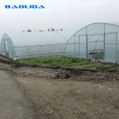 Γεωργικό πλαστικό θερμοκήπιο σηράγγων ενιαίος-έκτασης ταινιών PE πλάτους 8m για την ανάπτυξη λαχανικών