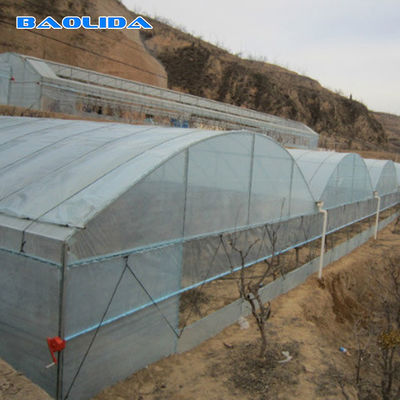 Καυτό γαλβανισμένο χάλυβα θερμοκήπιο σηράγγων σωλήνων πλαστικό γεωργικό