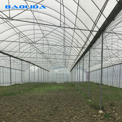 Η γεωργική εμπορική βιομηχανική ντομάτα πλαστικών ταινιών αυξάνεται το σύστημα 150 πολυ θερμοκήπιο έκτασης μικροϋπολογιστών