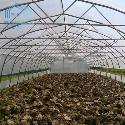 Γεωργικό πλαστικό θερμοκήπιο στεφανών θερμοκηπίων σηράγγων για την ανάπτυξη του λαχανικού