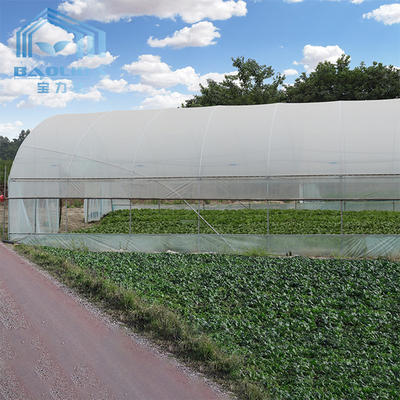 Ντοματών πολυ πλαστικό θερμοκήπιο σηράγγων θερμοκηπίων γεωργικό για τον εξοπλισμό άρδευσης σταλαγματιάς