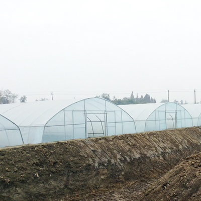 Απλούστερος γαλβανισμένος χάλυβας 4m καυτής εμβύθισης δομών πλαστικό θερμοκήπιο σηράγγων για την ανάπτυξη εγκαταστάσεων