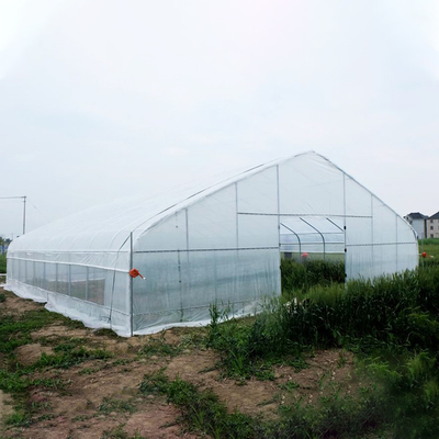 Γεωργικό ενιαίο πλαστικό θερμοκήπιο σηράγγων θερμοκηπίων PE φραουλών σηράγγων έκτασης