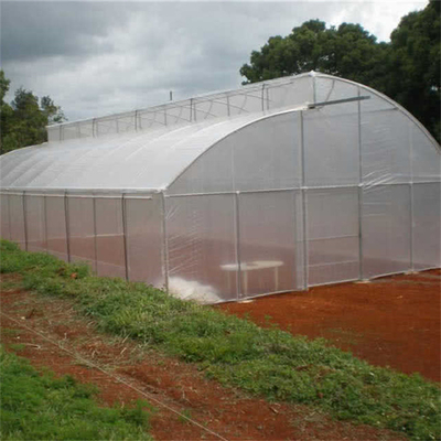 Πλάτος 10m 8m πλαστικό θερμοκήπιο πριονωτών τοπ διεξόδων σηράγγων για την ανάπτυξη φραουλών