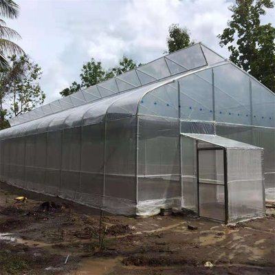 Πλάτος 10m 8m πλαστικό θερμοκήπιο πριονωτών τοπ διεξόδων σηράγγων για την ανάπτυξη φραουλών