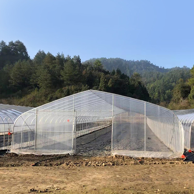 Ντοματών πολυ πλαστικό θερμοκήπιο σηράγγων θερμοκηπίων γεωργικό για τον εξοπλισμό άρδευσης σταλαγματιάς