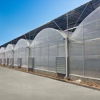Διαφανής καλλιέργεια εγκαταστάσεων θερμοκηπίων Multispan σηράγγων γυαλιού