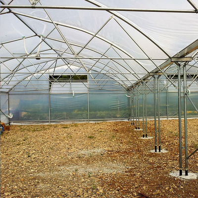 Γαλβανισμένη χάλυβα πλαισίων πολυ φυτική ανάπτυξη λουλουδιών θερμοκηπίων έκτασης γεωργική