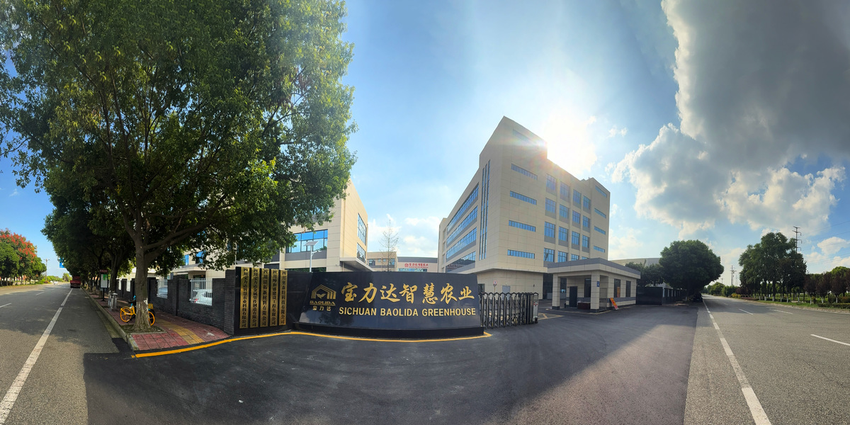 Κίνα Sichuan Baolida Metal Pipe Fittings Manufacturing Co., Ltd. Εταιρικό Προφίλ