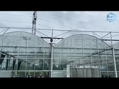 Hydroponics αυτόματο Multispan λουλουδιών αγγουριών ντοματών θερμοκήπιο γυαλιού Venlo