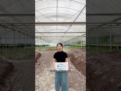 Έτοιμος να ανεβάσεις το αγροτικό σου παιχνίδι;