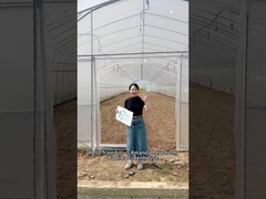 Ψάχνετε να αυξήσετε την απόδοση των καλλιεργειών σας με μια οικονομικά αποδοτική λύση;