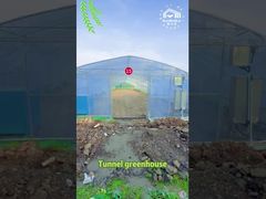 Θερμοκήπιο σηράγγων