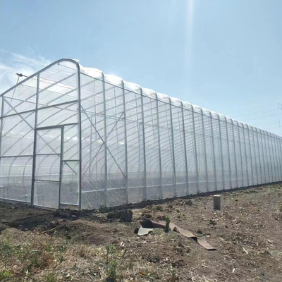 Ποιότητα  Plastic Film Solar Passive Greenhouse With Rainwater Collection Support εργοστάσιο