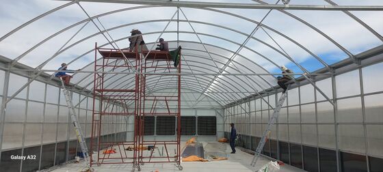 Ποιότητα  Automated Light Deprivation Greenhouse with 8mm Twin-Wall PC Board and Hot-Dip Galvanized Steel Frame Controlled by Smart PLC System εργοστάσιο