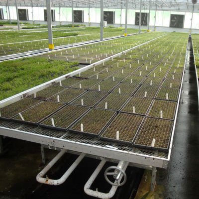Ποιότητα  Modern Aluminum Greenhouse Ebb Flow Table With Drain Tray Valve εργοστάσιο