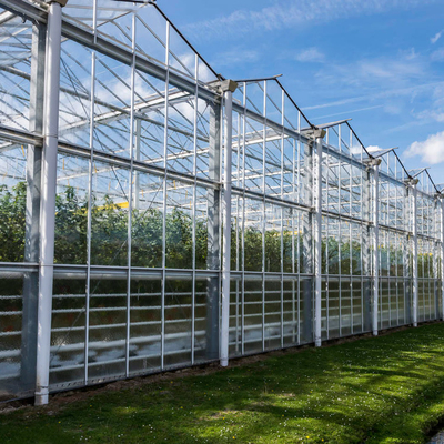 Υδροπονικό ανάπτυξης θερμοκήπιο γυαλιού συστημάτων γεωργικό ηλιακό για τα λαχανικά