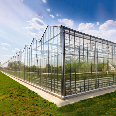 Πλευρές και τοπ καλυμμένο Venlo συστημάτων εξαερισμού θερμοκήπιο τύπων Multispan γυαλί