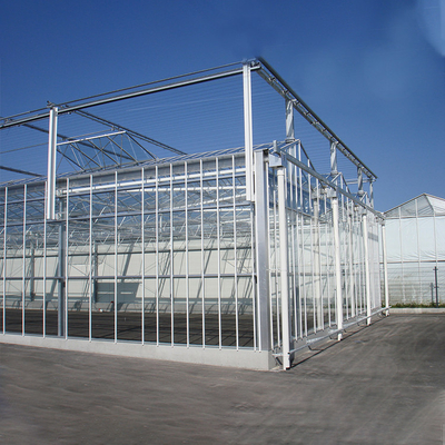 Αυτοματοποιημένο Hydroponics εγκαταστάσεων θερμοκήπιο τοίχων γυαλιού για τη φράουλα ντοματών