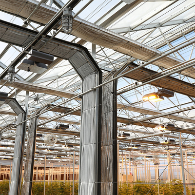 Οδηγημένος αυξηθείτε φωτισμού πολυ έκταση θερμοκηπίων τμήματος σηράγγων την αυτόματη ελαφριά για την ανάπτυξη Hemps
