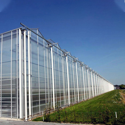 Εγκαταστάσεις γεωργίας που αυξάνονται το πολυ θερμοκήπιο γυαλιού Venlo έκτασης με την ψύξη του μαξιλαριού