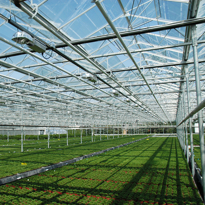 Εγκαταστάσεις γεωργίας που αυξάνονται το πολυ θερμοκήπιο γυαλιού Venlo έκτασης με την ψύξη του μαξιλαριού