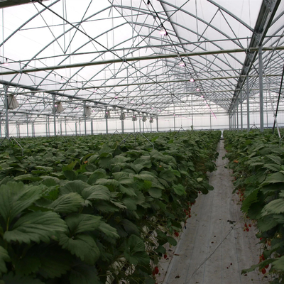Υψηλό σηράγγων πλαστικό πλήρες σύστημα γεωργίας θερμοκηπίων έκτασης Polyhouse πολυ