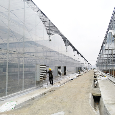 Γαλβανισμένος περίπατος σε Multispan 5.3m πλαστικό πολυ θερμοκήπιο έκτασης σπιτιών σηράγγων