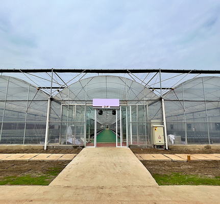 Γεωργία που φυτεύει το πλαστικό καλύπτοντας με σεντόνι μεγάλων κλιμάκων χάλυβα πλαισίων θερμοκήπιο έκτασης θερμοκηπίων πολυ