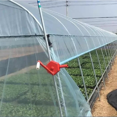 Θερμοκήπιο πλαστικών ταινιών σηράγγων ανάπτυξης καλλιέργειας γεωργίας για την ανάπτυξη πιπεριών