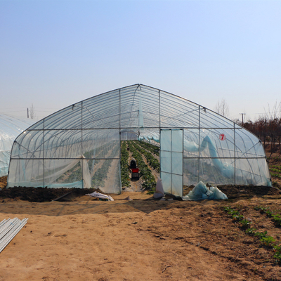 Θερμοκήπιο πλαστικών ταινιών σηράγγων ανάπτυξης καλλιέργειας γεωργίας για την ανάπτυξη πιπεριών