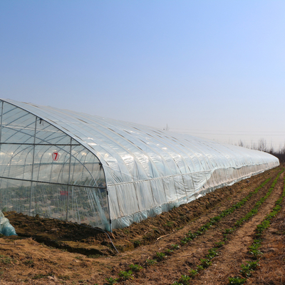 Πλαστικό θερμοκήπιο σηράγγων αψίδων υπαίθριο κινεζικό διαφανές για την καλλιέργεια