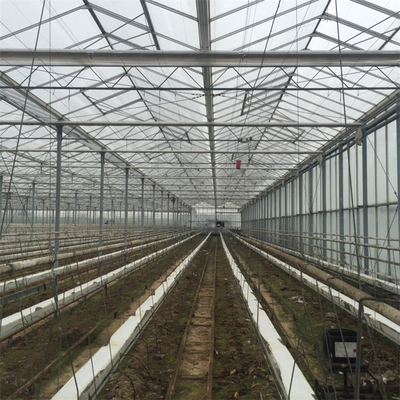 Γεωργίας πολυ θερμοκήπιο γυαλιού Venlo έκτασης αυτόματο για την ανάπτυξη λαχανικών