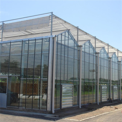 Μετριασμένο θερμοκήπιο Multispan τύπων Venlo επιτροπής γυαλιού για τα λαχανικά υδροπονικά