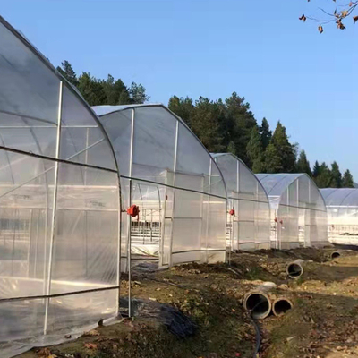 Υψηλή σηράγγων ενιαία στρώματος πλαστική ταινία θερμοκηπίων Serre γεωργική για τις ντομάτες