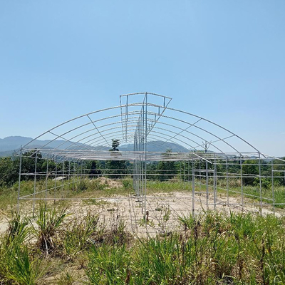 Γαλβανισμένη ομπρέλα θερμοκηπίων πλαισίων ενιαία αυτόματη διέξοδος σηράγγων έκτασης τροπική