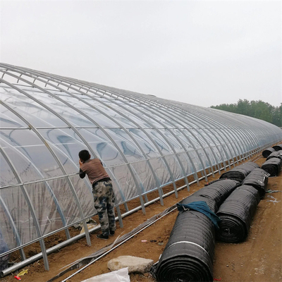 Παθητικό ηλιακό θερμοκήπιο ντοματών γεωργίας με το σύστημα θέρμανσης