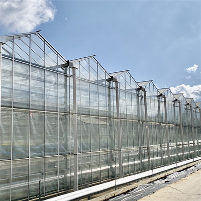 Ο κινεζικός μετριασμένος γεωργία τύπος Venlo θερμοκηπίων γυαλιού γαλβάνισε εμπορικό
