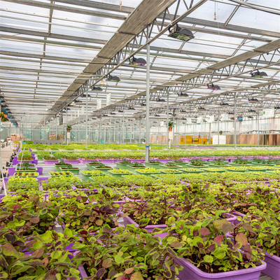Πλήρες γεωργικό θερμοκήπιο γυαλιού φίμπεργκλας θερμοκηπίων πολυ-έκτασης ανάπτυξης λαχανικών